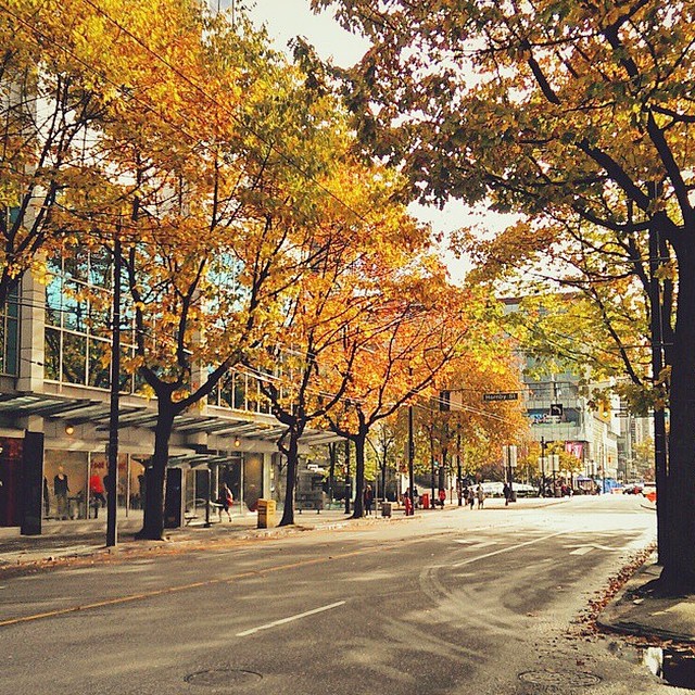 Fall, Robson Street